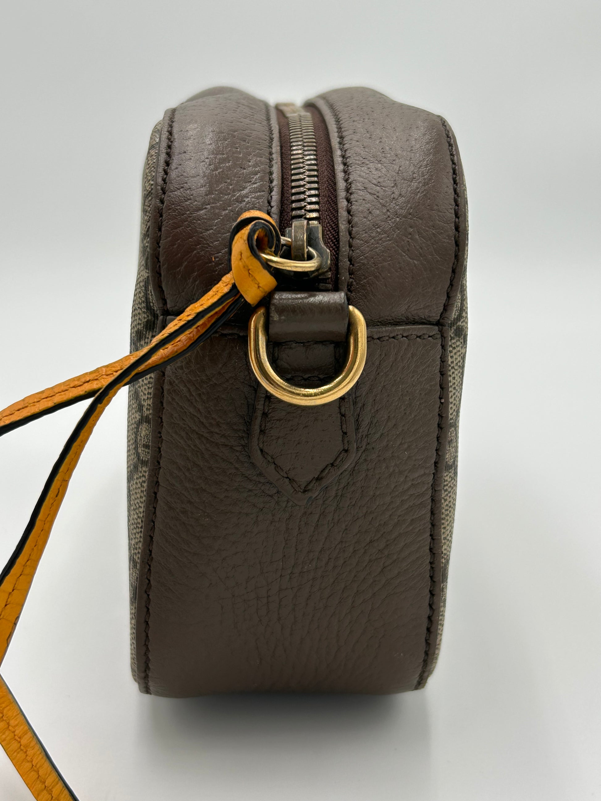 Gucci Supreme CamBag
