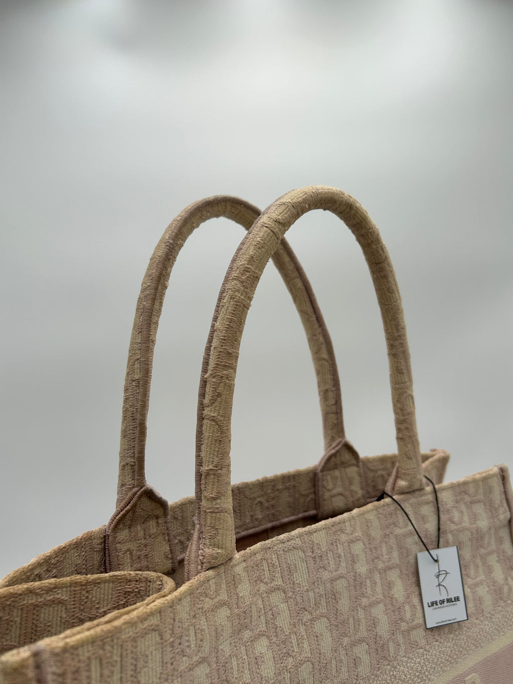 Christian Dior Booktote Medium
