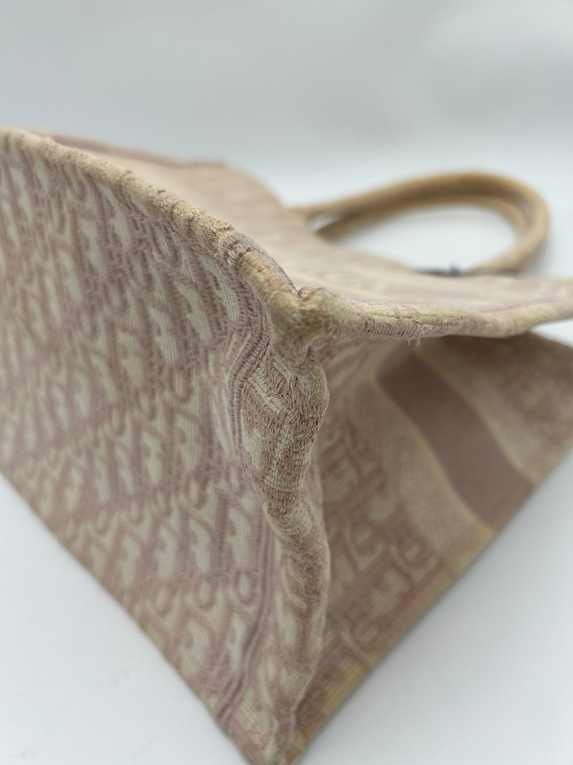 Christian Dior Booktote Medium