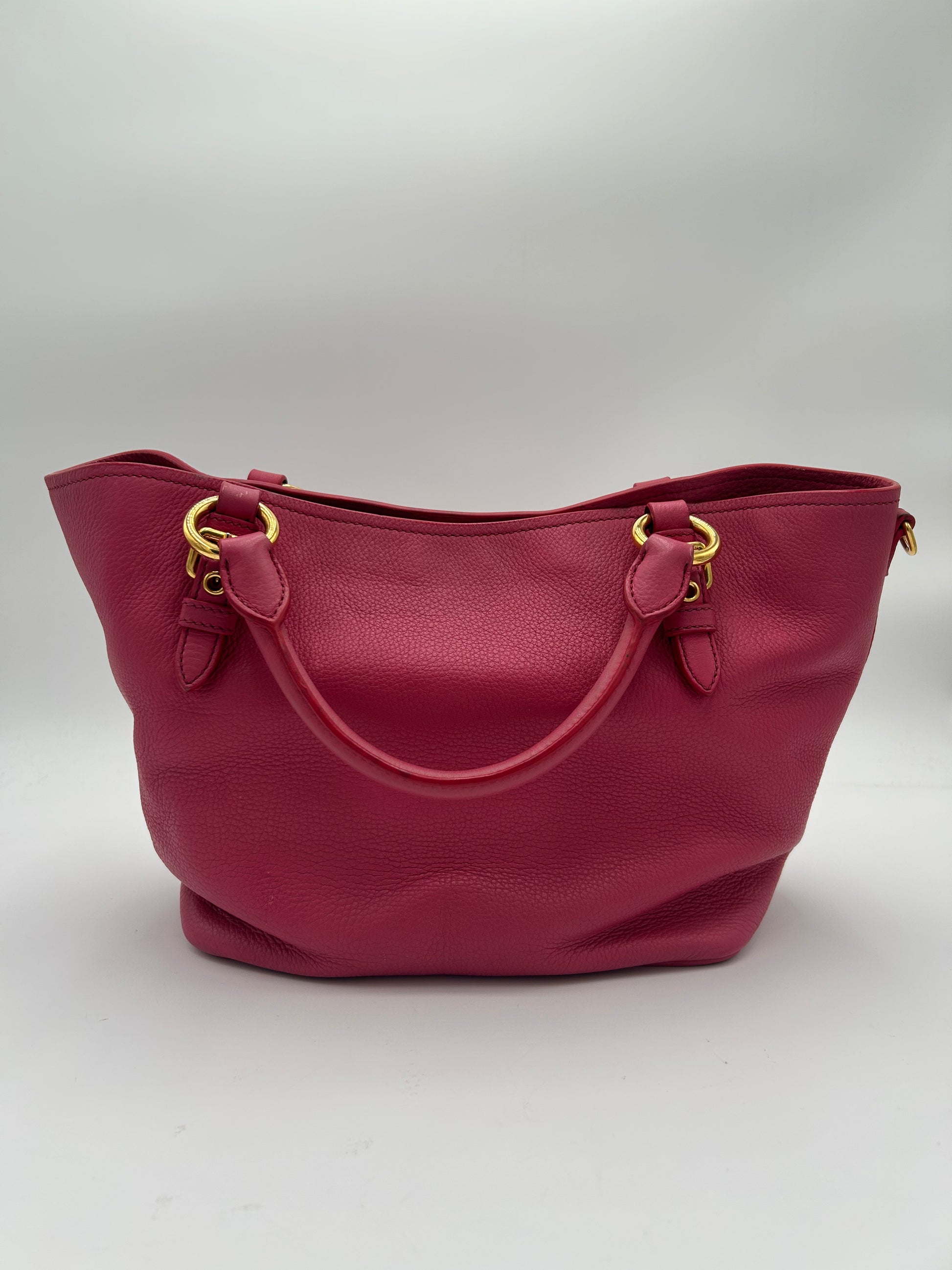 Miu Miu Phenix Two Way