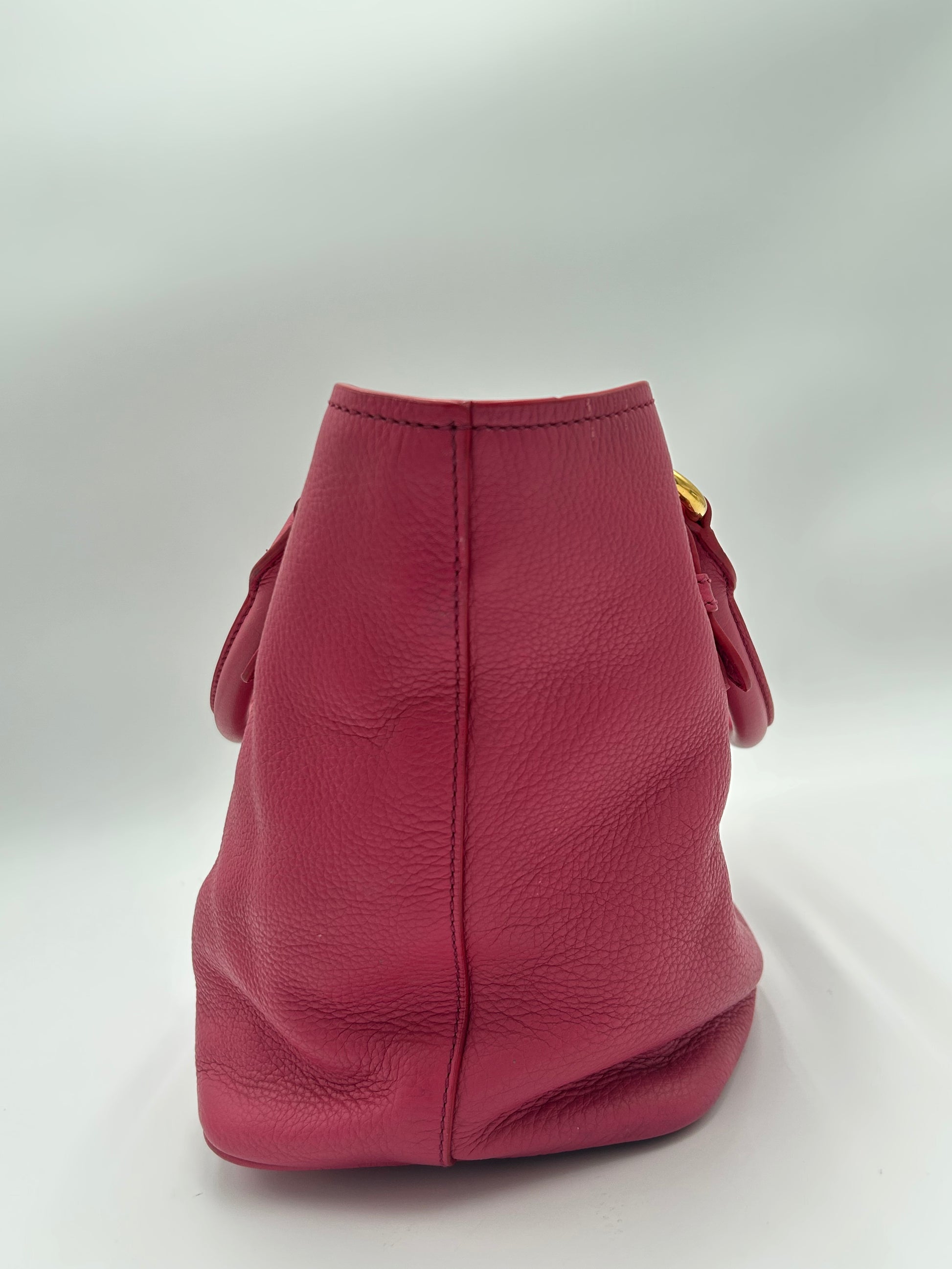 Miu Miu Phenix Two Way