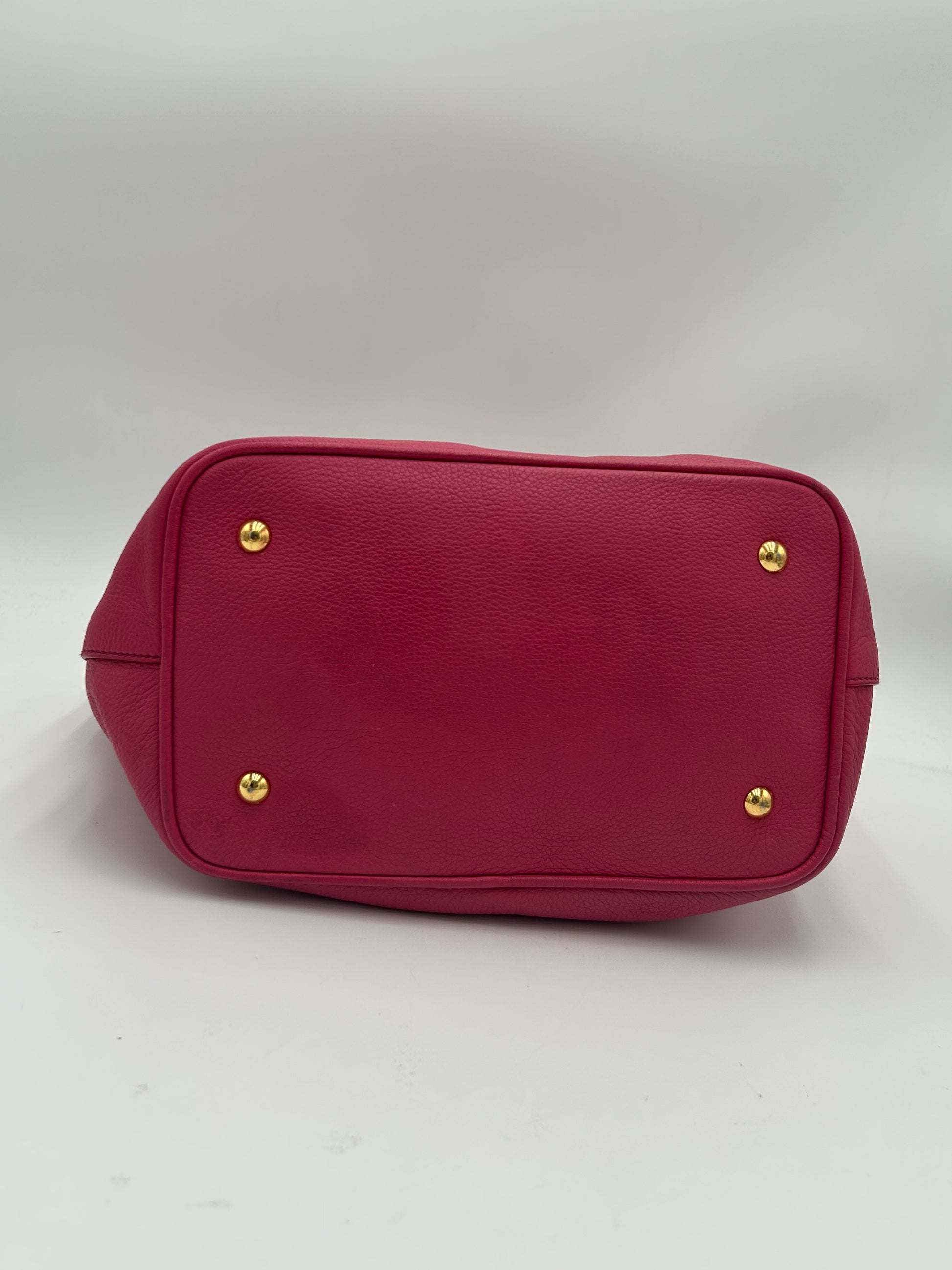 Miu Miu Phenix Two Way