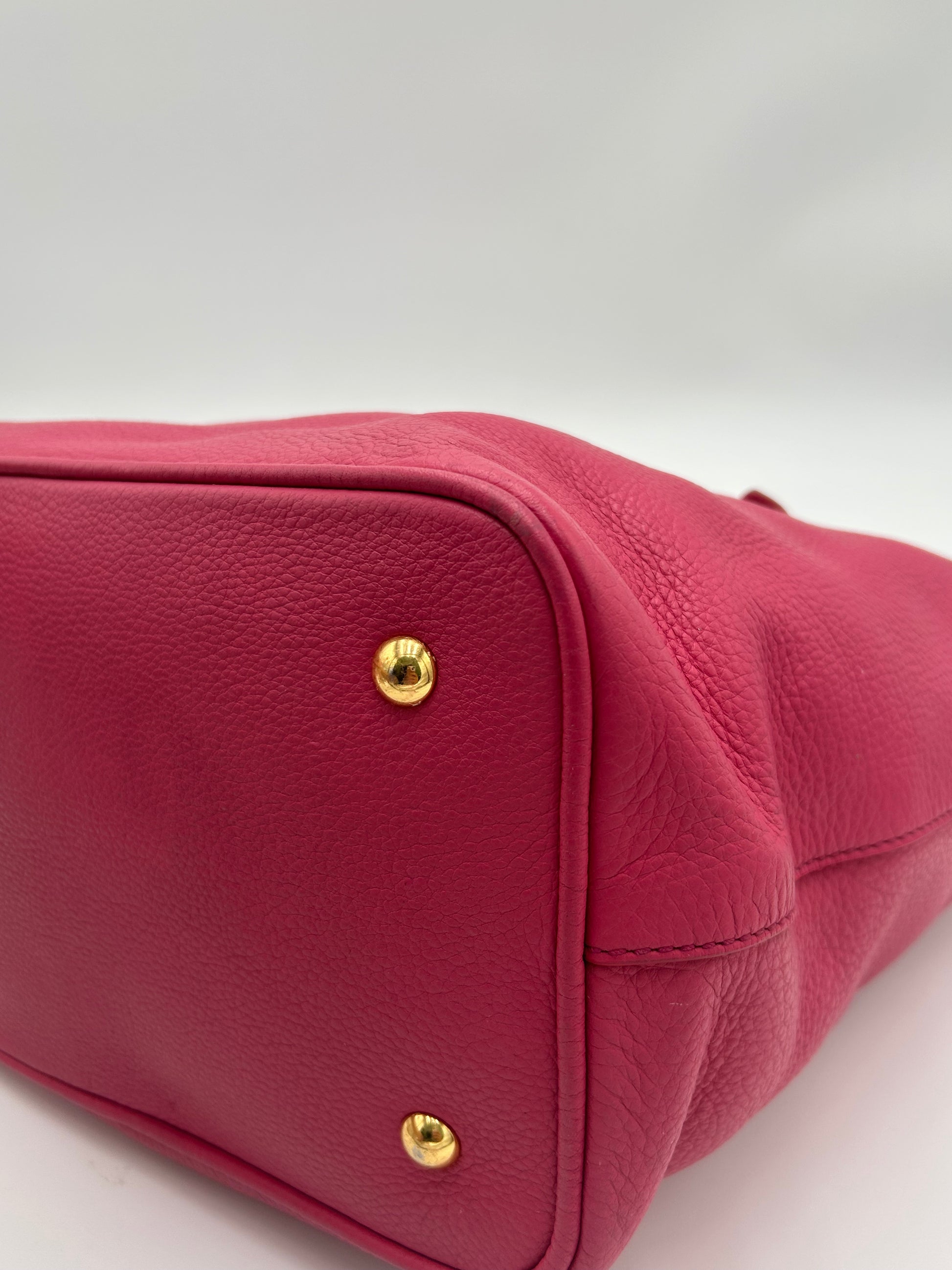 Miu Miu Phenix Two Way