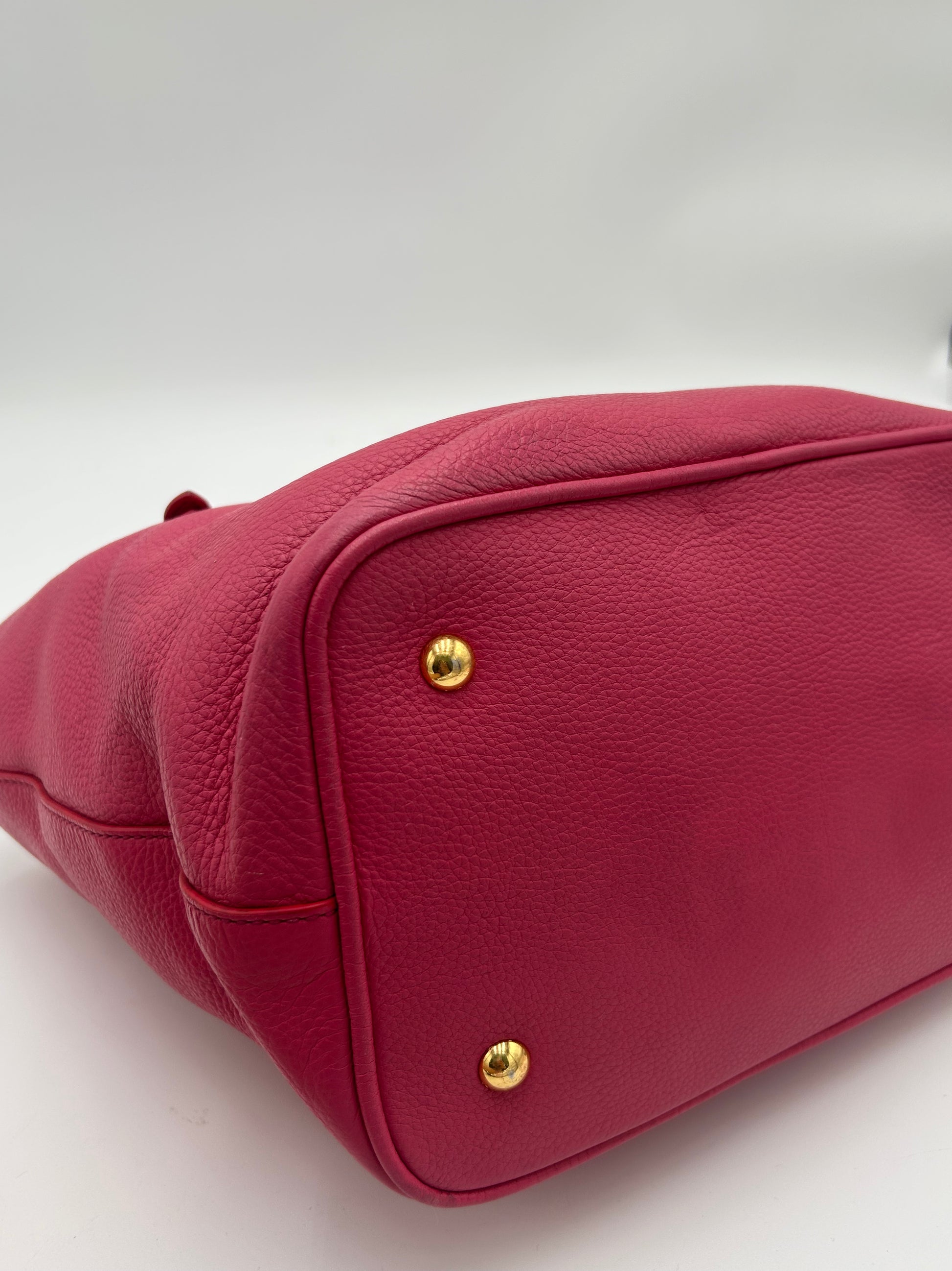 Miu Miu Phenix Two Way