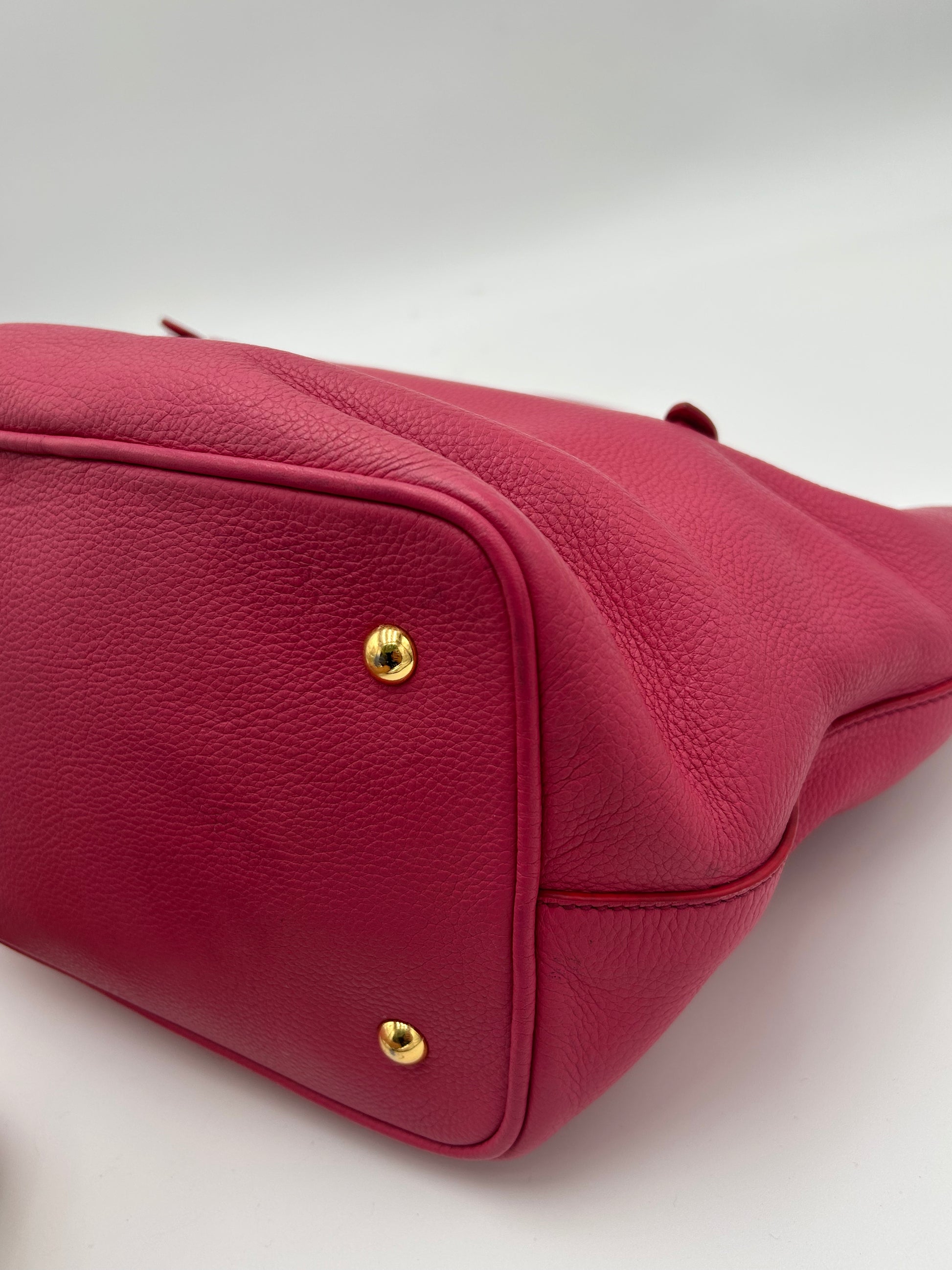 Miu Miu Phenix Two Way