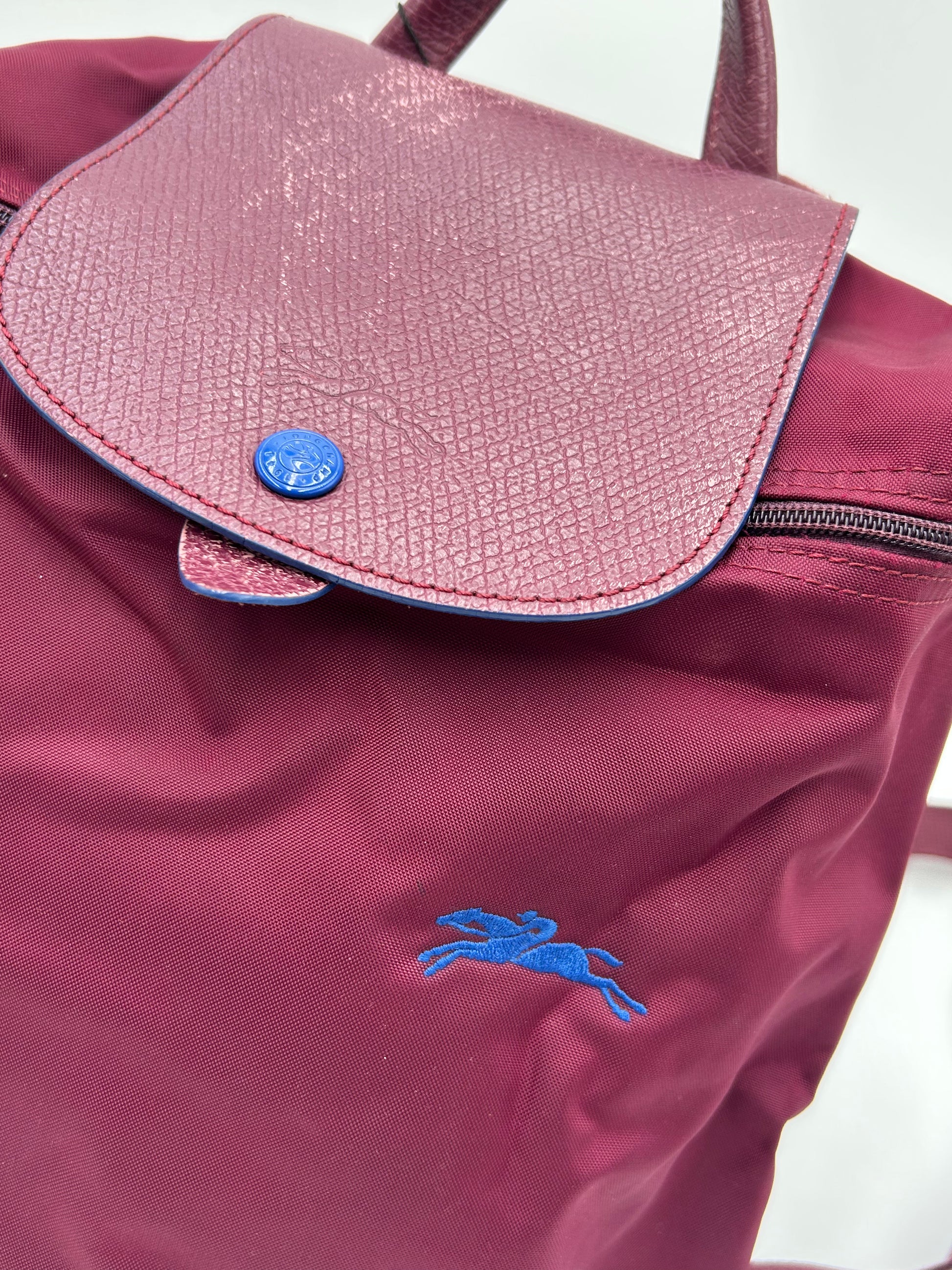 Longchamp Nylon Backpack