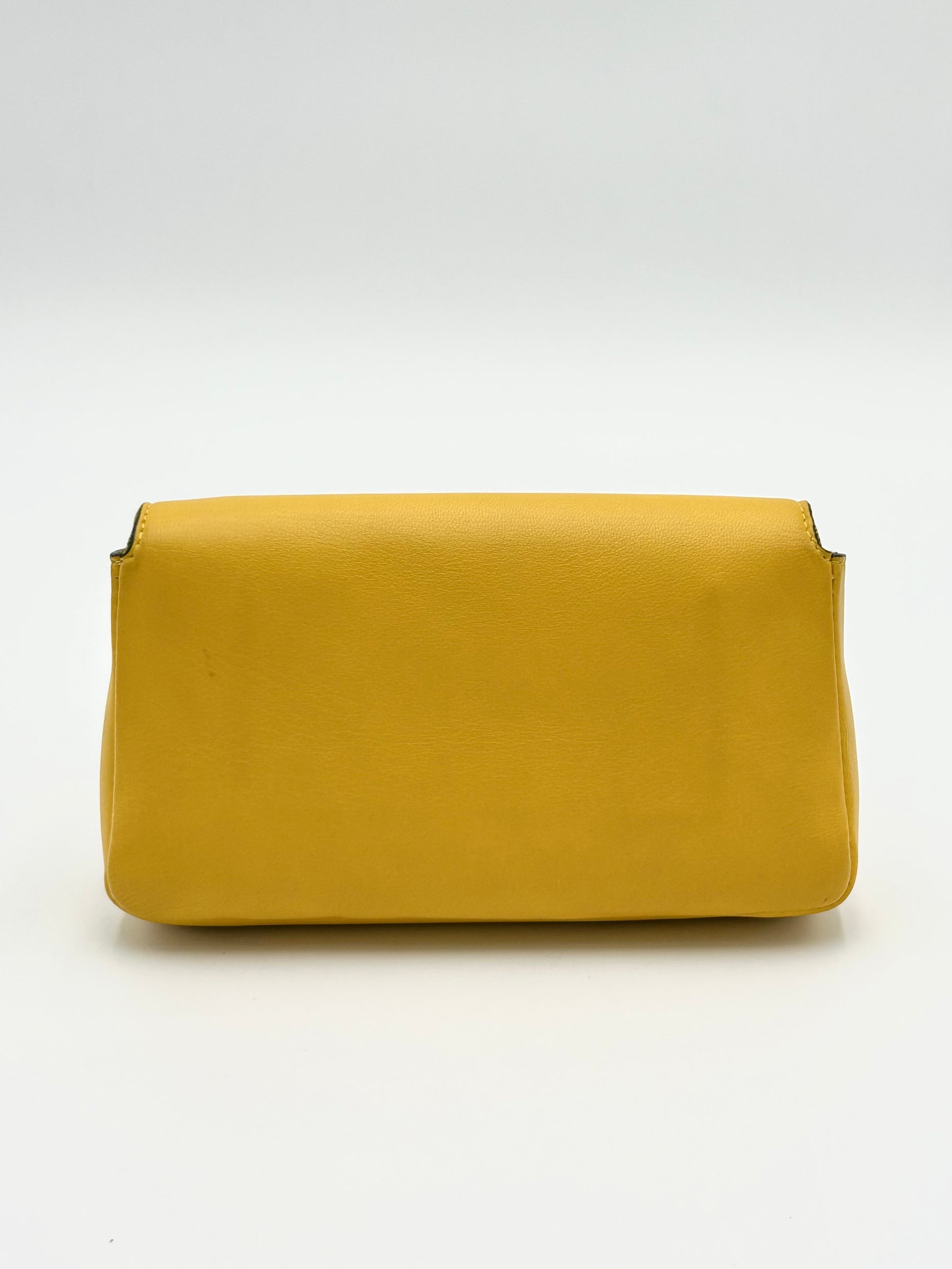 Fendi Baguette Micro