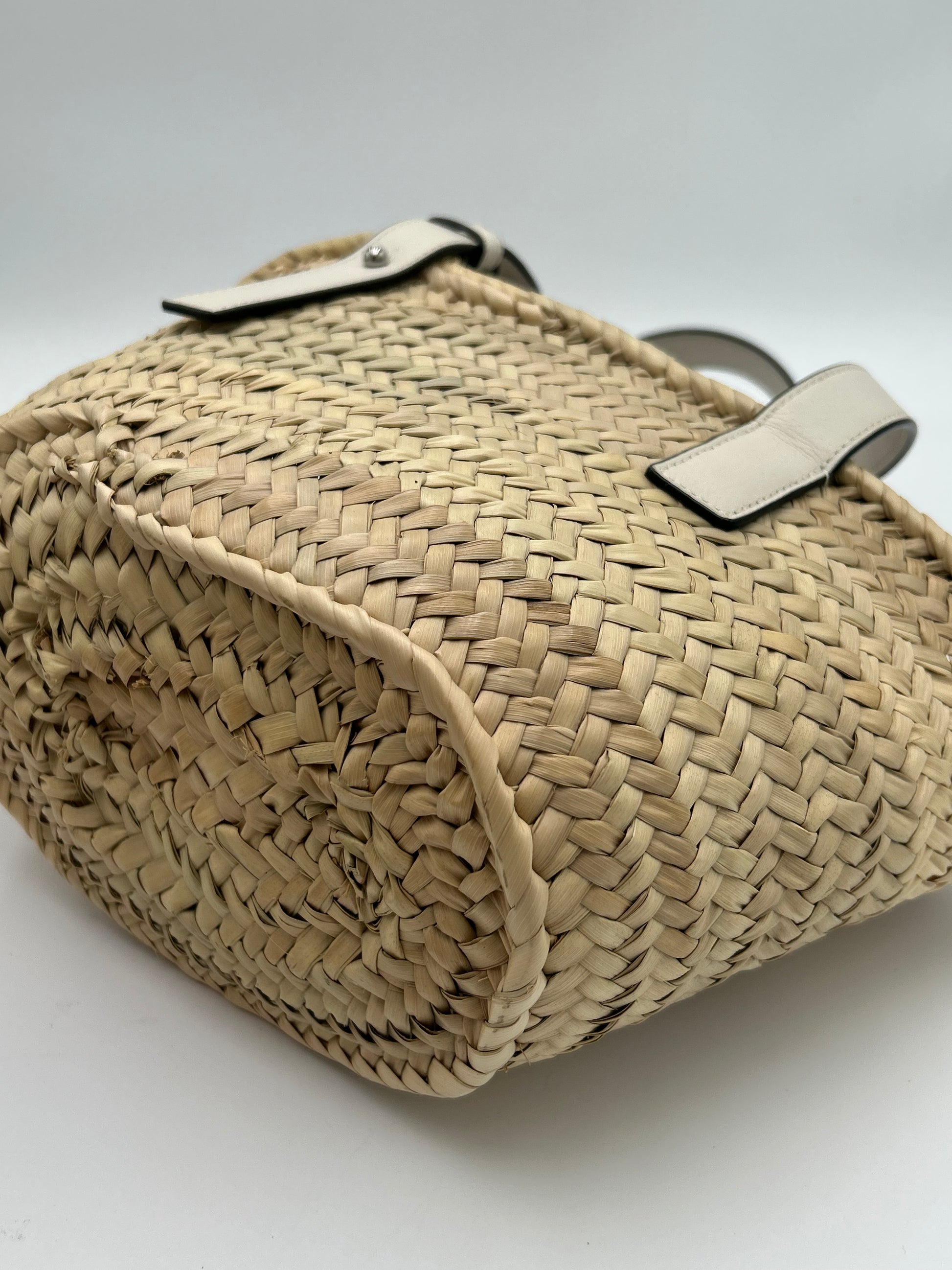 Loewe Raffia Small