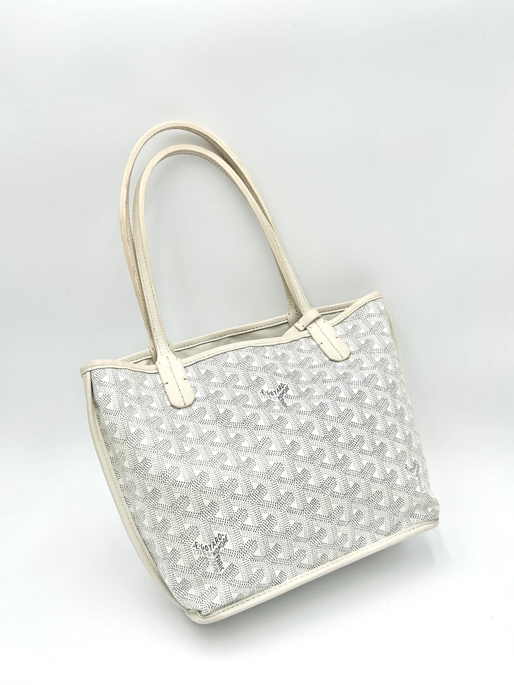 Goyard Mini Anjou