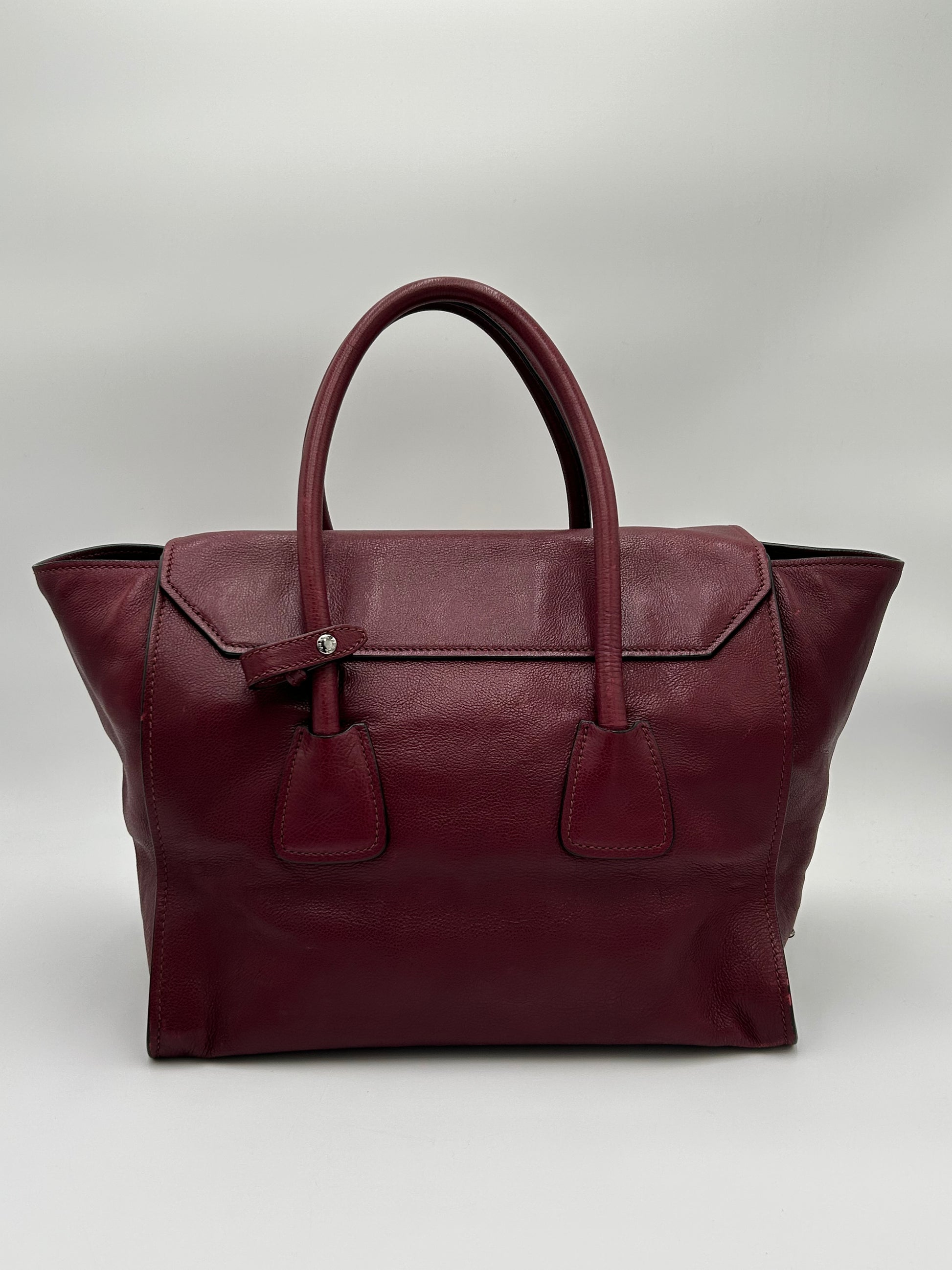 Prada Glace Calfskin Sound