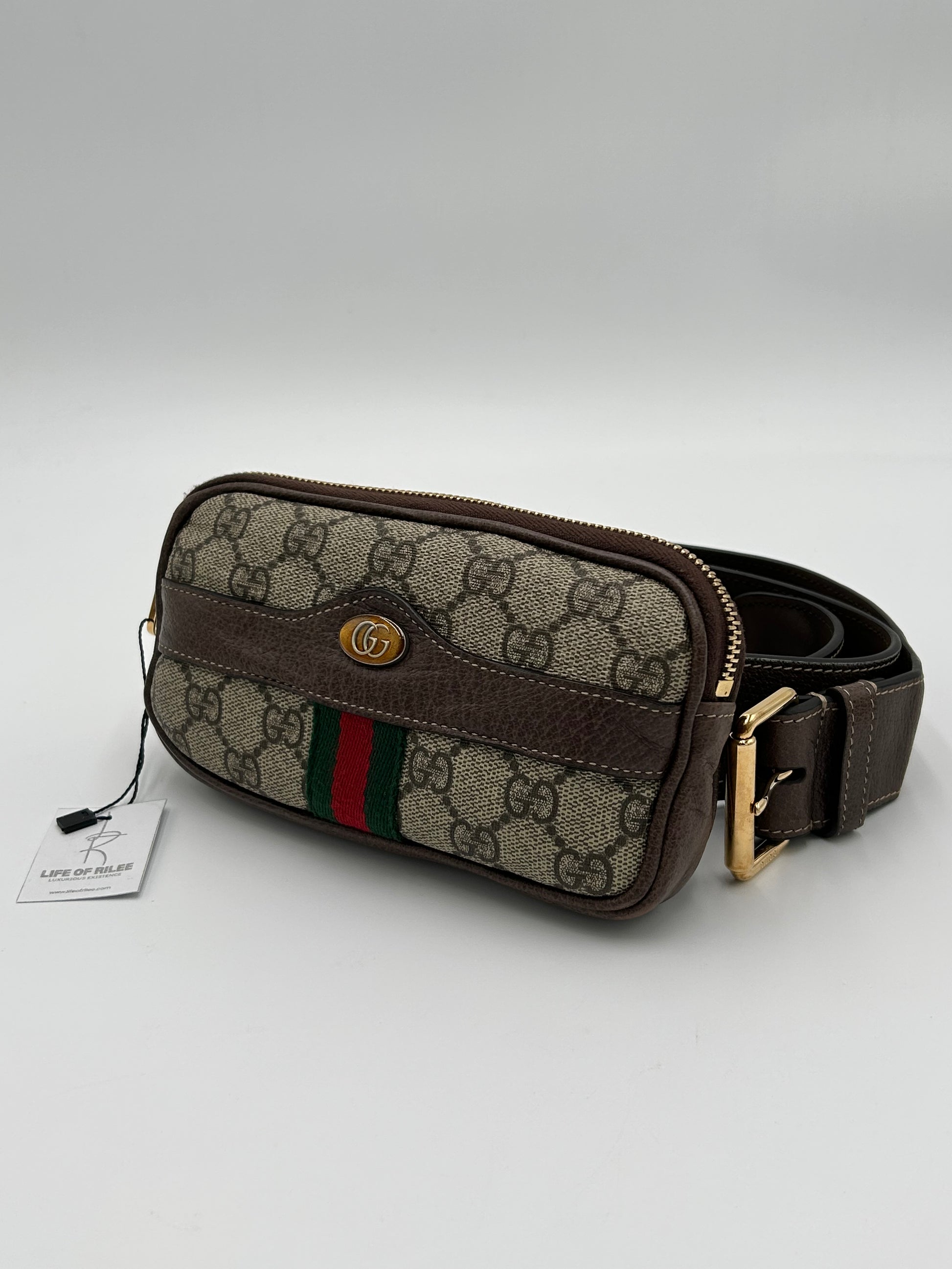 Gucci Ophidia Beltbag