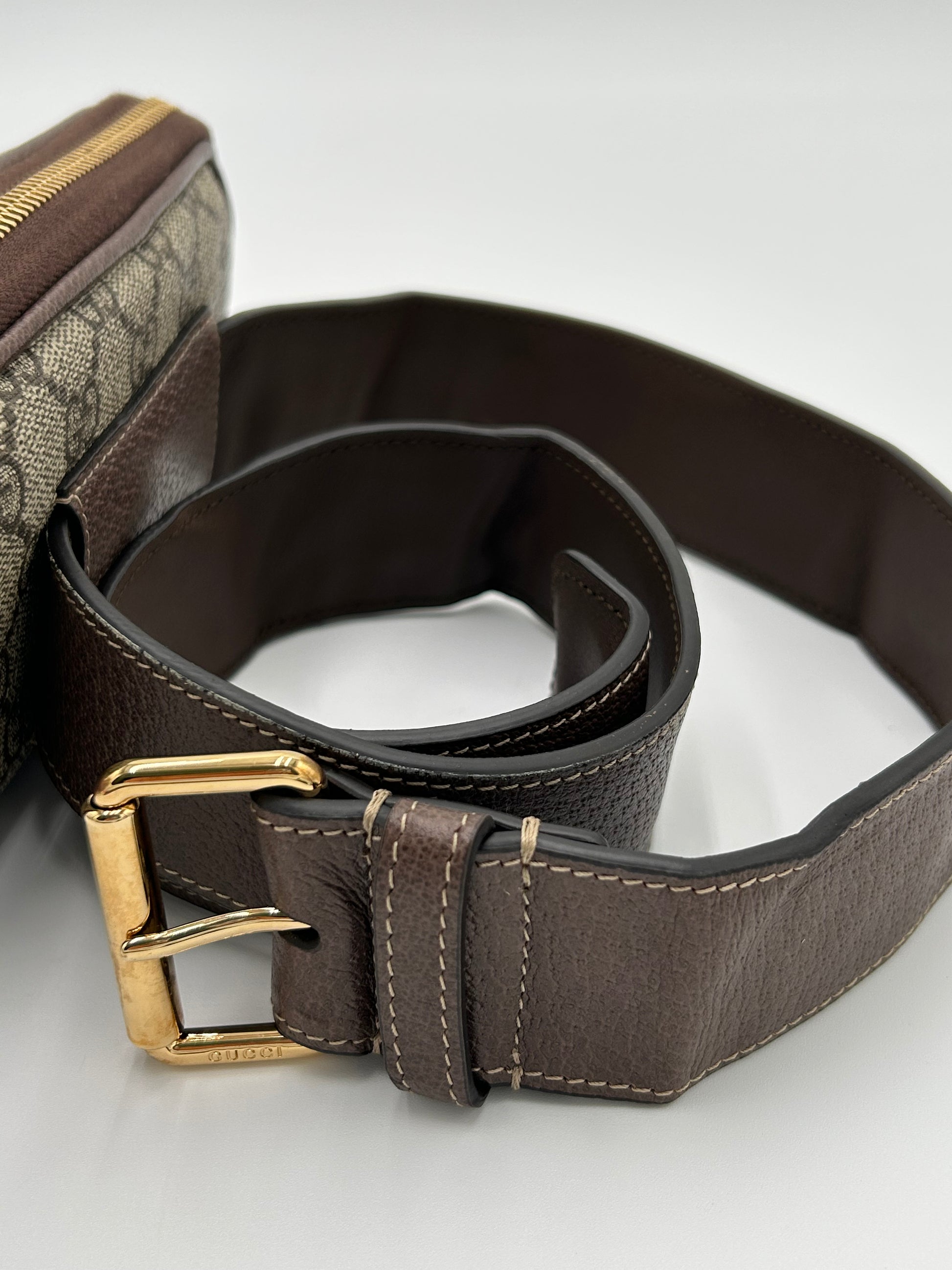 Gucci Ophidia Beltbag