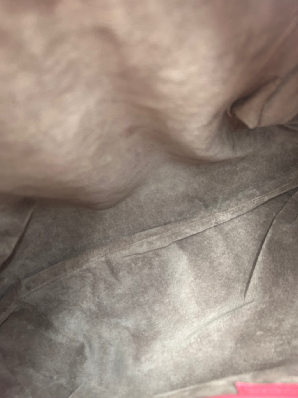 Bottega Veneta Hobo Large